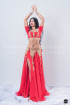 Professional bellydance costume (classic 158a)